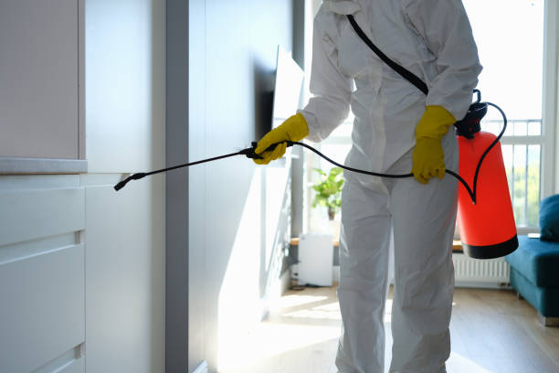 Best Crawl Space Mold Remediation in Brookfield, NJ