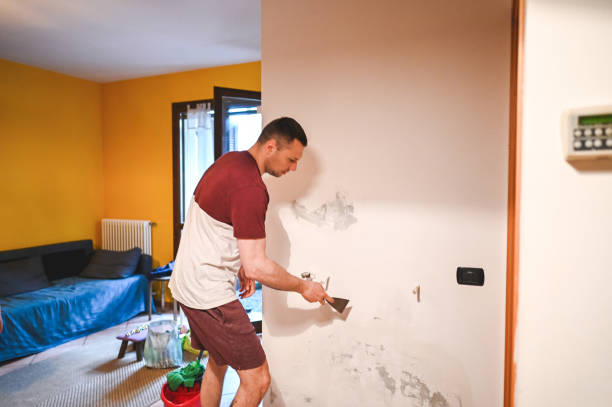 Brookfield, NJ Mold Remediation Company